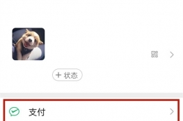微信支付有优惠怎么提现到零钱